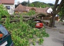 Kwikfynd Tree Cutting Services
undullah