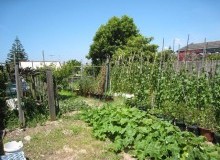 Kwikfynd Vegetable Gardens
undullah